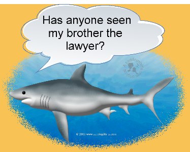 ../Images/shark lawyer brother L.jpg